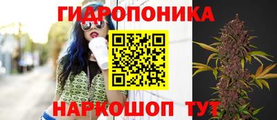 прущие крисы Комсомольск-на-Амуре