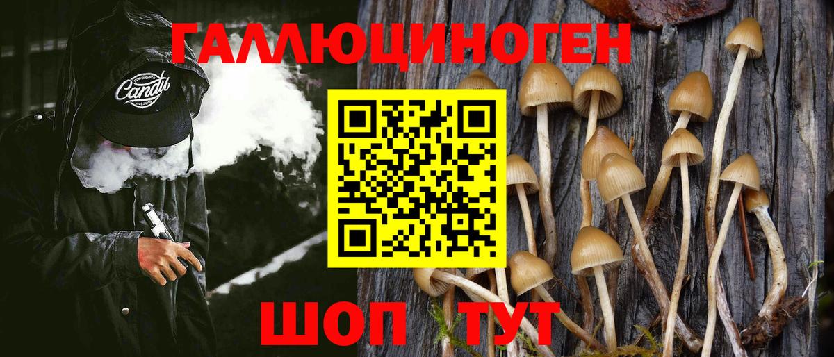 Галлюциногенные грибы мухоморы Кохма